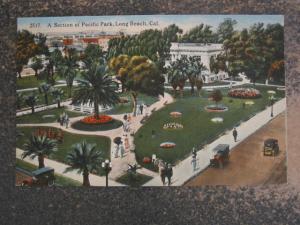 LONG BEACH CALIFORNIA PACIFIC PARK SCENE c1910 Postcard