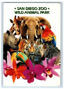 Vintage San Diego Zoo Wild Animal Park. Postcard 7GE