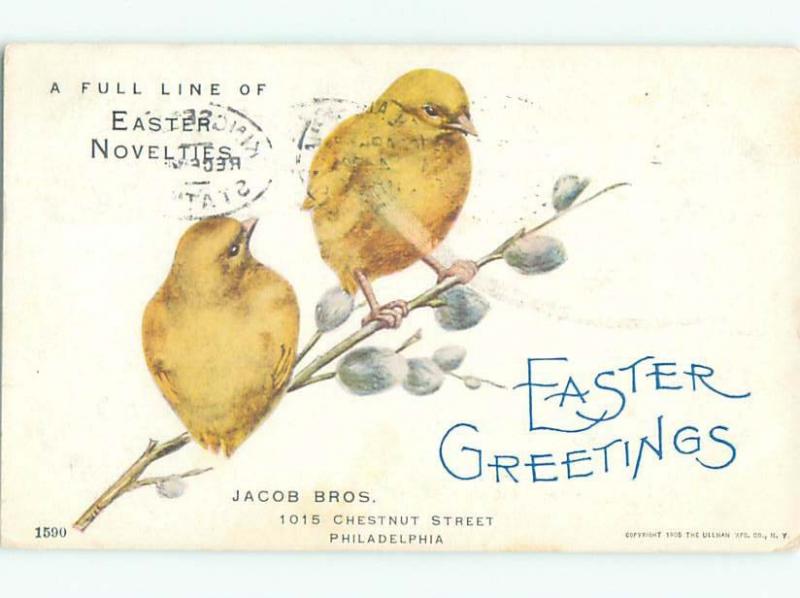 Divided-Back EASTER CHICK SCENE Cute Postcard AA0826