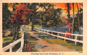 Greetings from Loch Sheldrake New York  