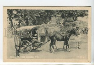 438894 INDIA Mail Tonga Naini Tal carriage Vintage postcard