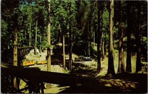 California Santa Cruz Roaring Camp Train In Corkscrew Loop