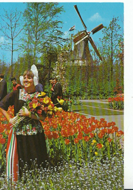 The Netherlands Postcard - Holland in Flower Decoration - Ref 20685A