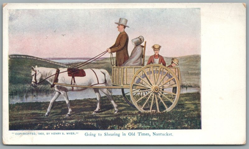 NANTUCKET MA GOING TO SHEARING IN OLD TIMES ANTIQUE POSTCARD