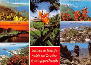 BG6294 tenerife multi views puerto de la cruz garachico teide   spain