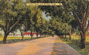 EL PASO, TX Texas   VALLEY ROAD~Tree Lined Country Lane  1944 Linen Postcard