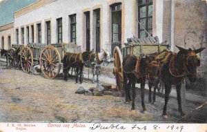 Mule Wagons Mexico 1909 postcard