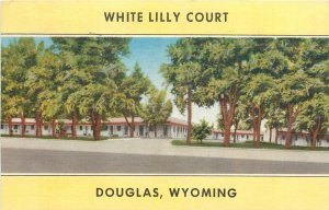 1940s Douglas Wyoming White Lilly Court occupation Lynx Products Postcard 26-598