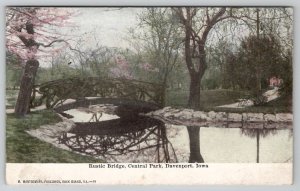 Davenport Iowa Central Park Rustic Bridge Mirrored in Stream Postcard A26