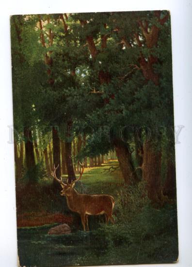 170353 Summer HUNT Deer by SAMBO vintage Colorful PC