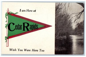 c1910 I Am Here At Cedar Rapids Iowa IA Wish You Were Here Too Unposted Postcard