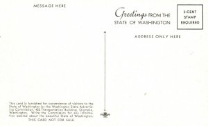 Vintage Postcard Cascade Mountains Yakima Outdoor Recreation Washington