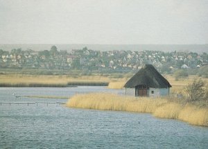 RSPB Radipole Lake Reserve Bedfordshire Postcard