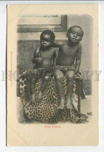 438919 British SOUTH Africa Semi-nude boys Good Friends Vintage postcard