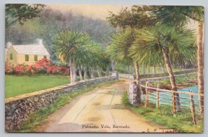 Postcard Palmetto Vale Bermuda Stone Path Trees House Art