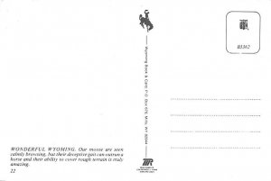 Moose Wyoming, USA Unused 