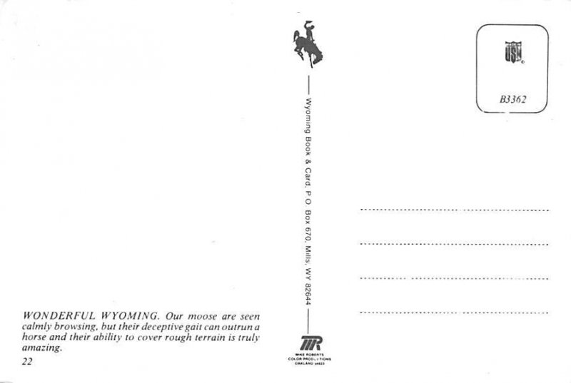 Moose Wyoming, USA Unused 