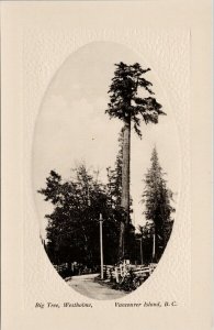 Big Tree Westholme Vancouver Island BC Unused Postcard E72