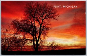 Vtg Flint Michigan MI Autumn Silhouette Beautiful Sunrise 1950s View Postcard