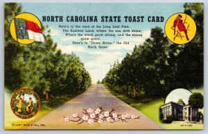 North Carolina State Toast Quote~View Down Road W/ Flag~Vintage Linen Postcard