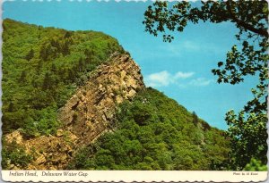 VINTAGE CONTINENTAL SIZE POSTCARD INDIAN HEAD AT DELAWARE WATER GAP