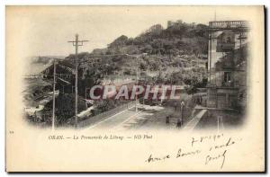 Old Postcard Oran La Promenade Letang