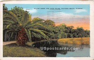 Bulow Creek & Date Palms - Daytona Beach, Florida FL  