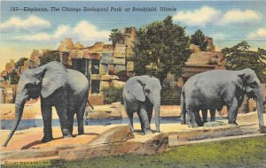 Brookfield Illinois 1940s Postcard Elephants at the Chicago Zoo