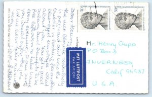 Mainzer Dressed CATS BUTCHER SHOP Kittens Cop ~ Anthropomorphic #4978 Postcard