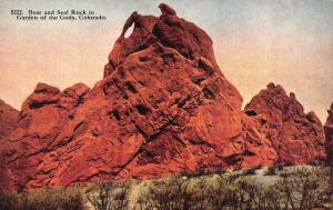 GARDEN OF THE GODS, CO Colorado    BEAR & SEAL ROCK    c1910's Postcard