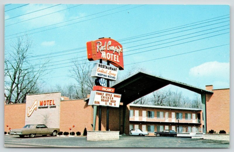 Cincinnati Ohio~Red Carpet Motel & Restaurant~Neon Sign~1960-70 Cars~Postcard 