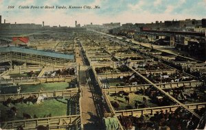 c.1910 Kansas City Stock Yards Cattle Pens Postcard 2T7-113