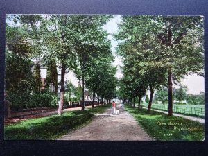 Cambridgeshire WISBECH Park Avenue c1920s Postcard by Valentine