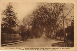 CPA PARAY-le-MONIAL L'Avenue de Charolles aux Platanes Seculaires (1190587)