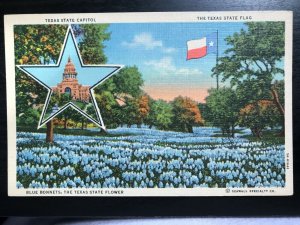 Vintage Postcard 1935 State Capitol State Flag Blue Bonnet State Flower Texas