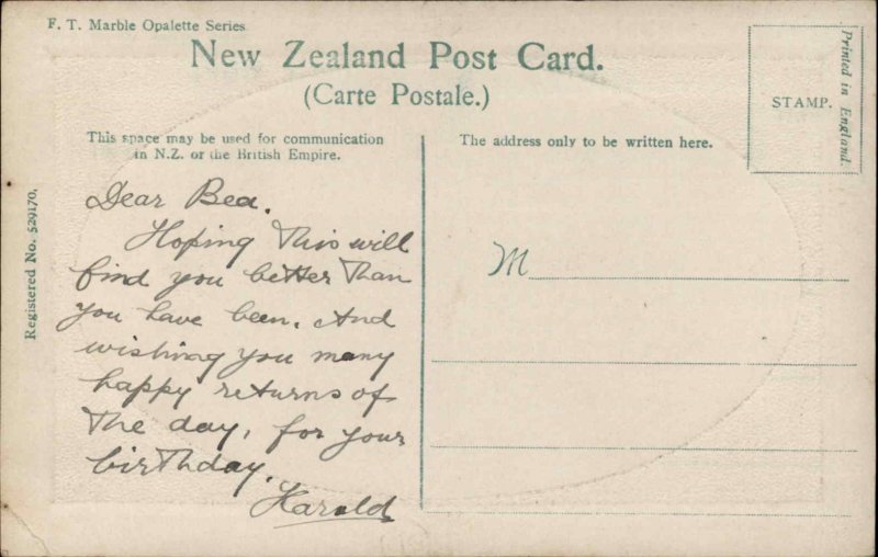Buller Gorge New Zealand No. 1861 View Frame Border Vintage Gel Postcard