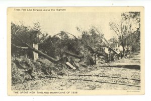 NH - Tilton. 1938 Hurricane Damage, Trees Fell Like Tenpins