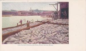Washington Puget Sound Salmon Catch 30,000 Fish