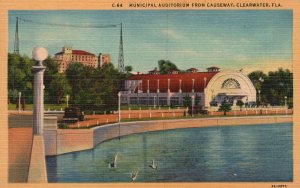 Vintage Postcard Municipal Auditorium From Causeway Clearwater Florida Sun News