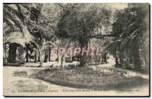 VINTAGE POSTCARD Algerie Hamma R' Hira Petit under wood in front of the large ho
