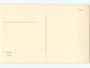 old rppc NICE VIEW Heidelberg Germany i3012