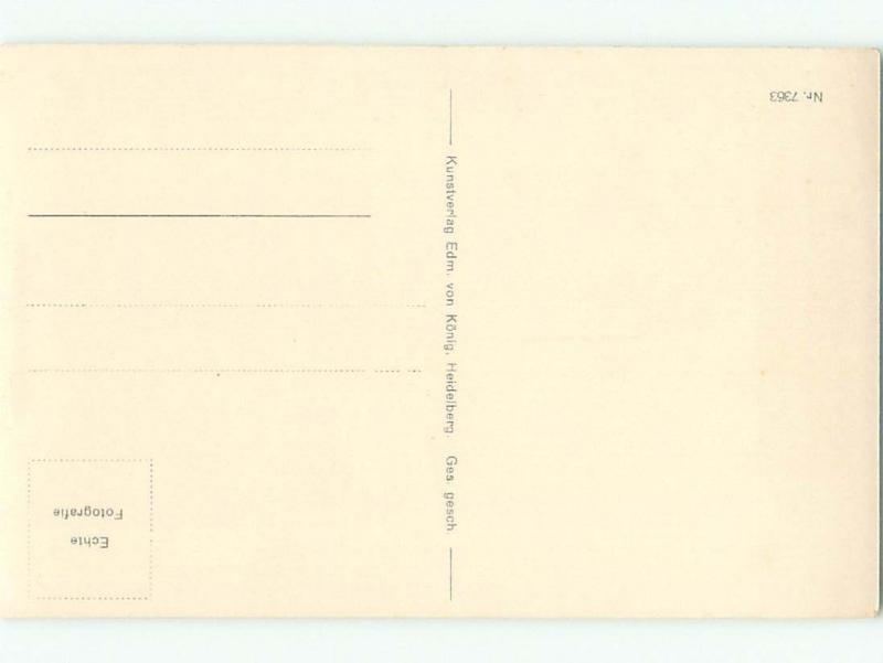 old rppc NICE VIEW Heidelberg Germany i3012