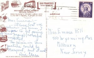 Vintage Postcard 1950's Muir Woods National Monument Mill Valley California CA