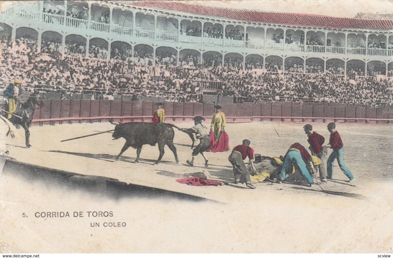 CORRIDA DE TOROS , Spain , 1901-07 ;Un Coleo