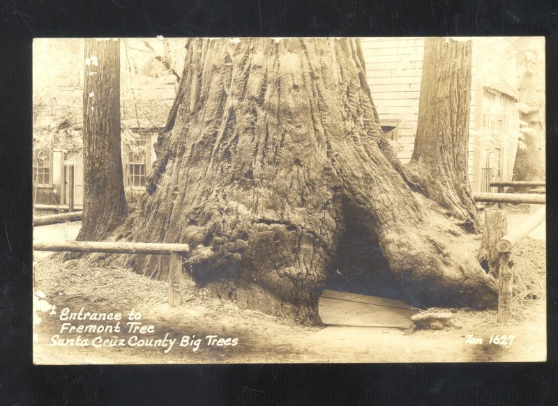 RPPC SANTA CRUZ COUNTY CALIFORNIA DRIVE THRU TREE VINTAGE REAL PHOTO POSTCARD