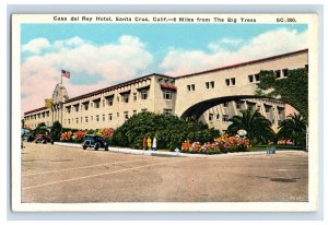 Casa del Rey Hotel Santa Cruz Big Trees California Vintage Postcard F52