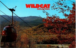 Wildcat Mountain Gondola Mount Washington Pinkham Notch NH VTG Postcard UNP 
