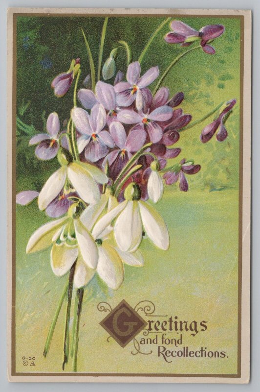 Greetings~Purple And White Flowers~Recollections~Vintage Postcard 