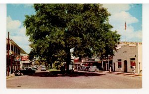 FL - Zephyr Hills. The Main Street in the Heart of Downtown ca 1956