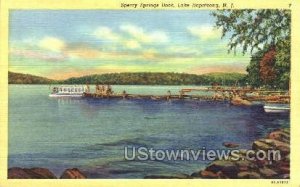 Sperry Springs in Lake Hopatcong, New Jersey